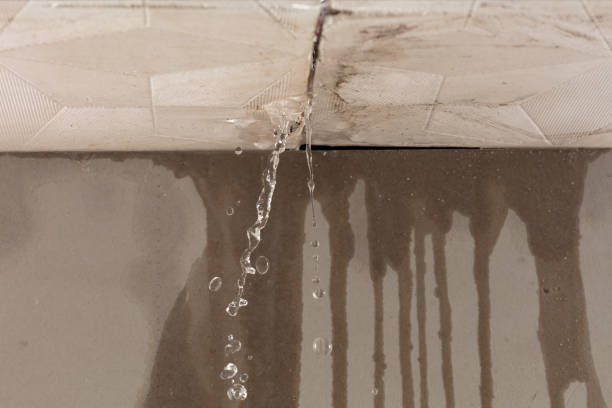 Professional Structural Drying technician working in Chester, NJ